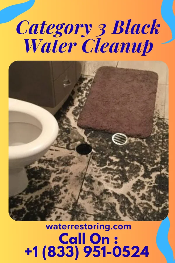 Category 3 Black Water Cleanup in Mount Horeb, WI