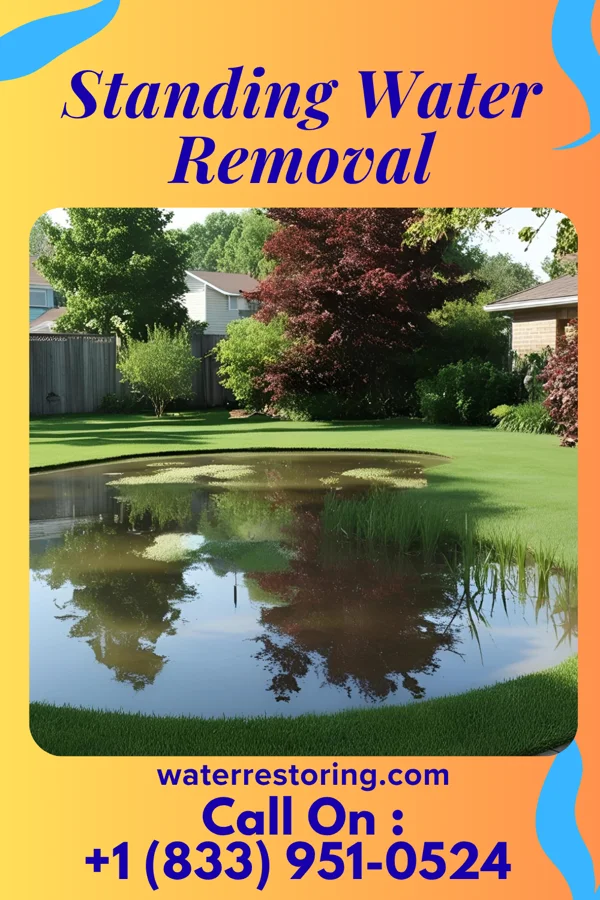 Standing Water Removal in Mount Horeb, WI